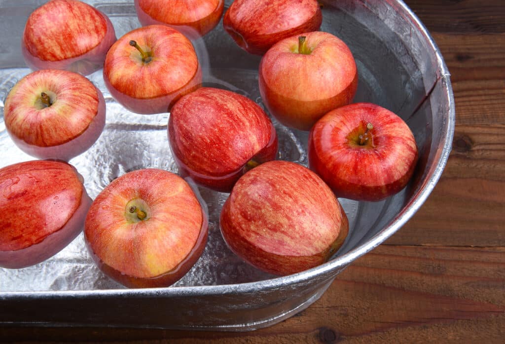 A metal tub filled with water and apples for Apple Bobbing.