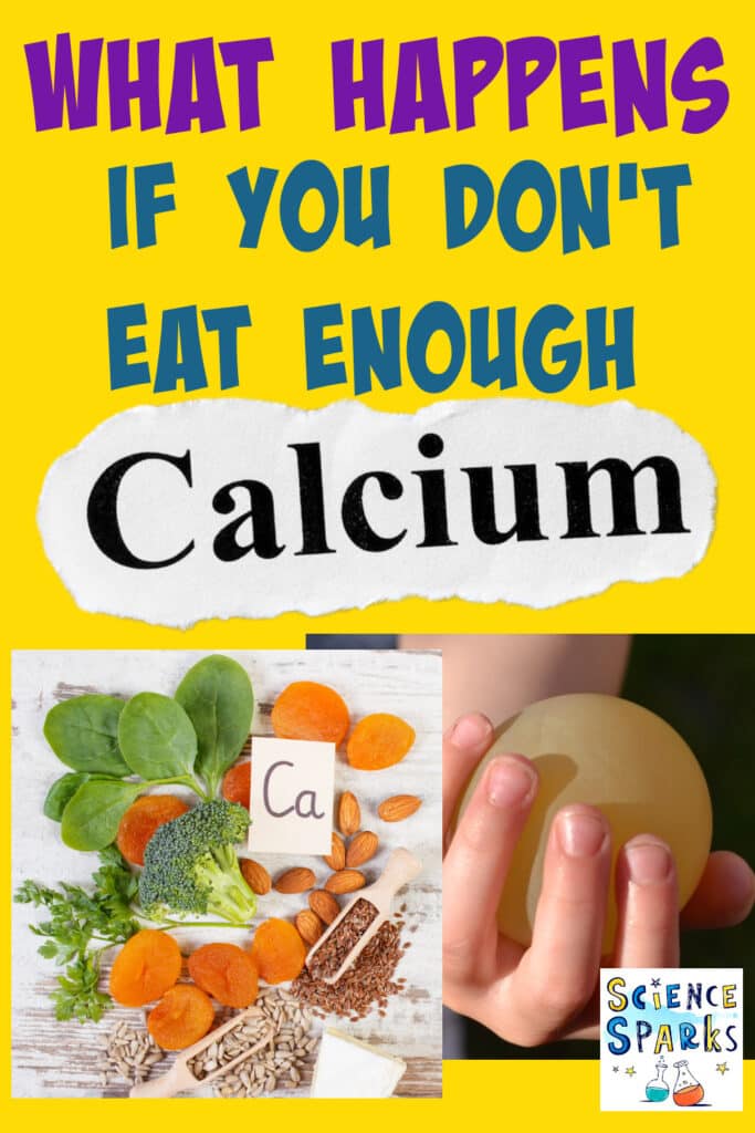 Image of calcium rich foods and an egg with no shell for learning about the effects of not eating enough calcium