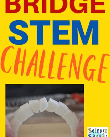 sugar cube bridge for an arch STEM challenge