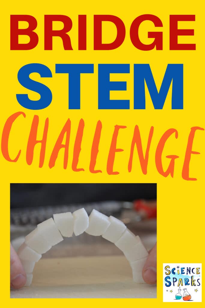 Image of a bridge made with sugar cubes for a STEM challenge