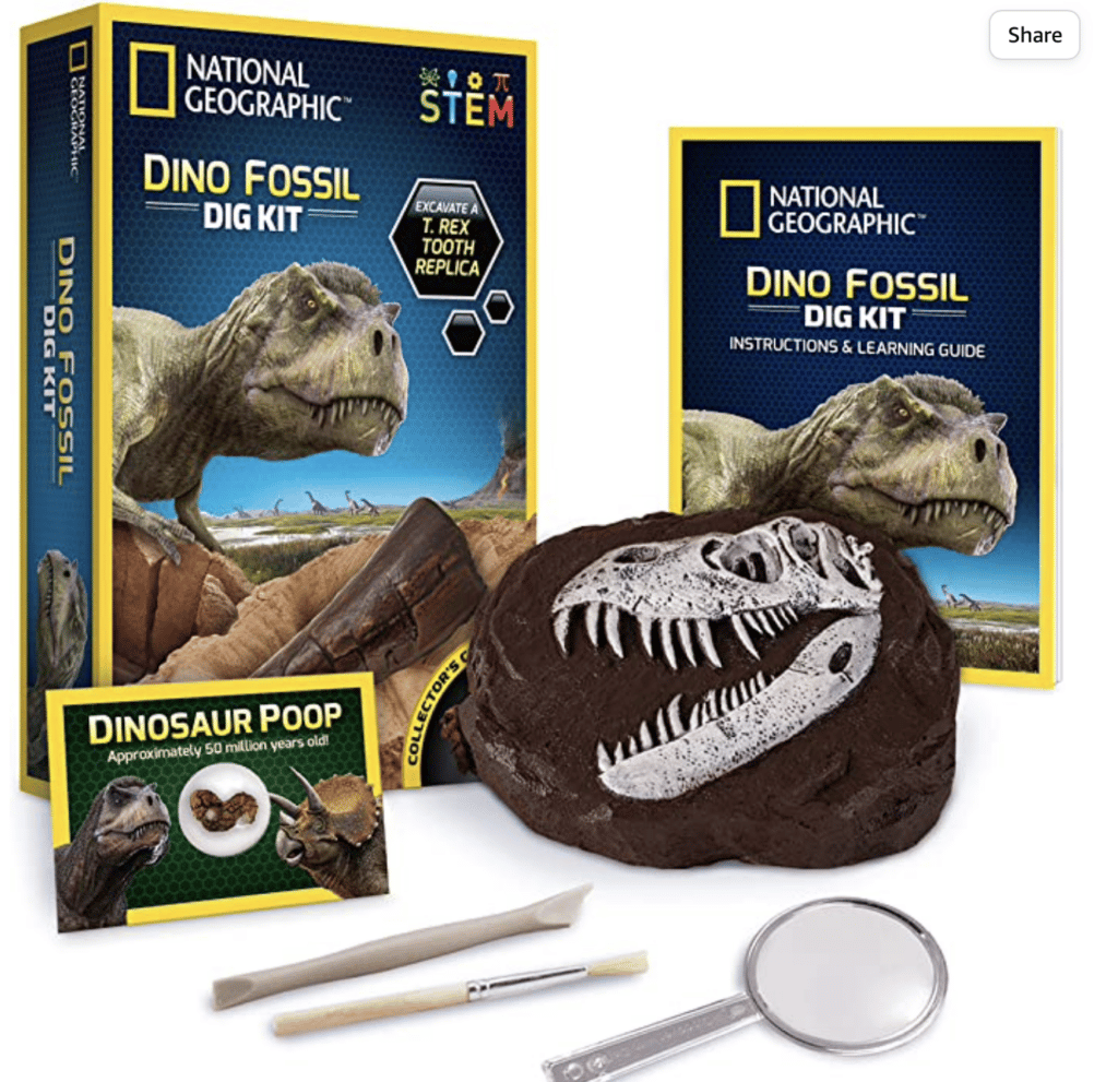 Rock and fossil kit from National Geographic