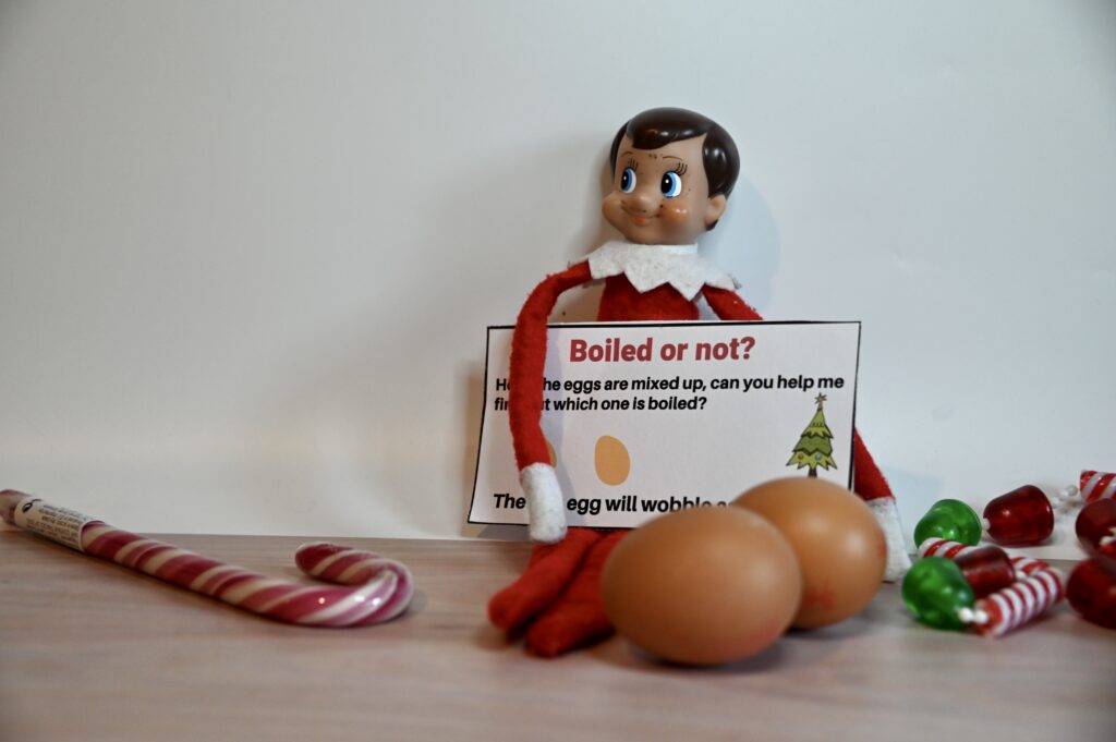 Elf and two eggs, one boiled and one raw for a science activity