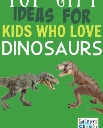 top gift ideas for kids who love dinosaurs