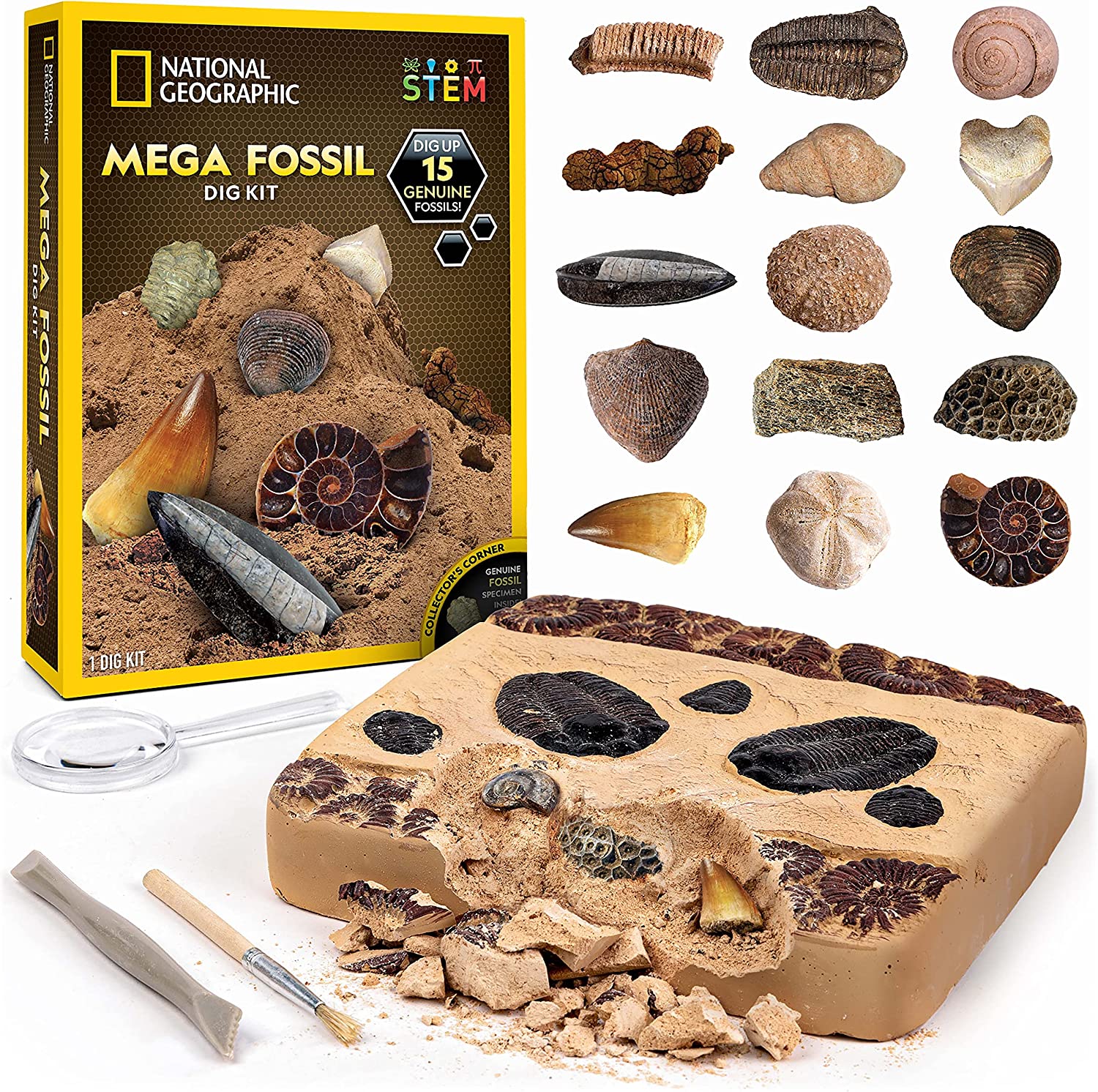 National Geographic fossil Kit