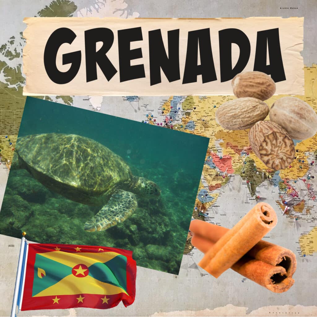 Leatherback sea turtle, nutmeg, cinnammon and the flag of Grenada