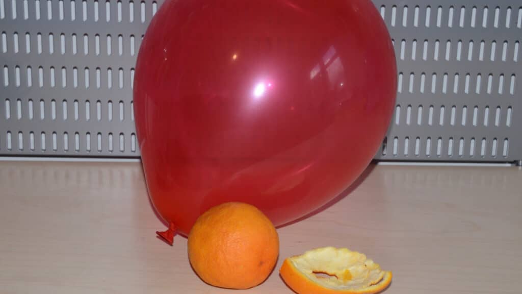 One whole orange, one section of orange peel and a red balloon