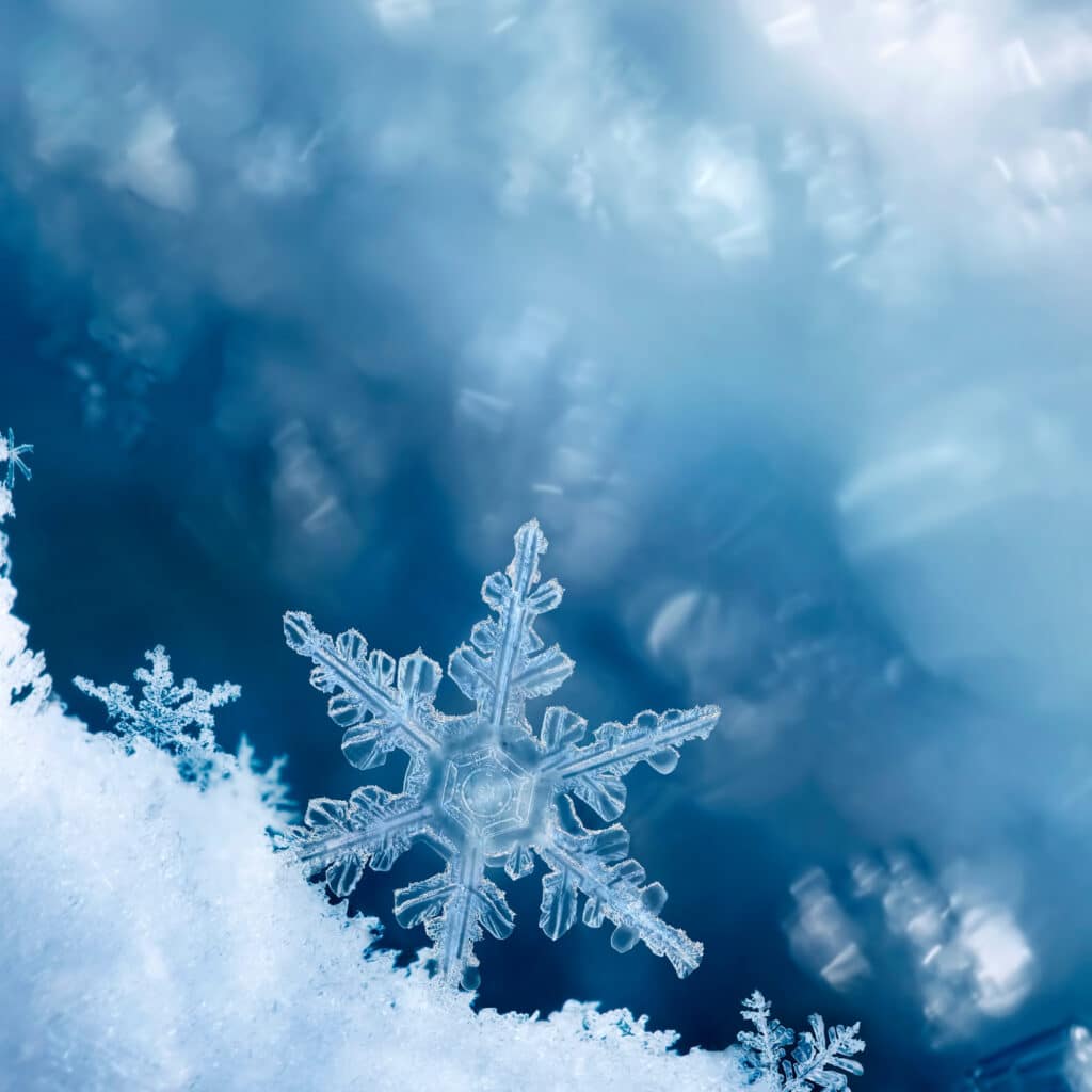 snowflake and frost showing the symmetry of a snowflake