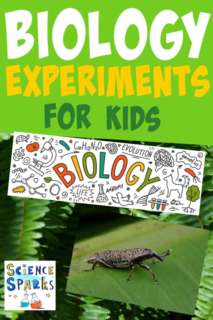 Image of a bug on a leaf and a BIOLOGY image for an article about Biology experiments for kids