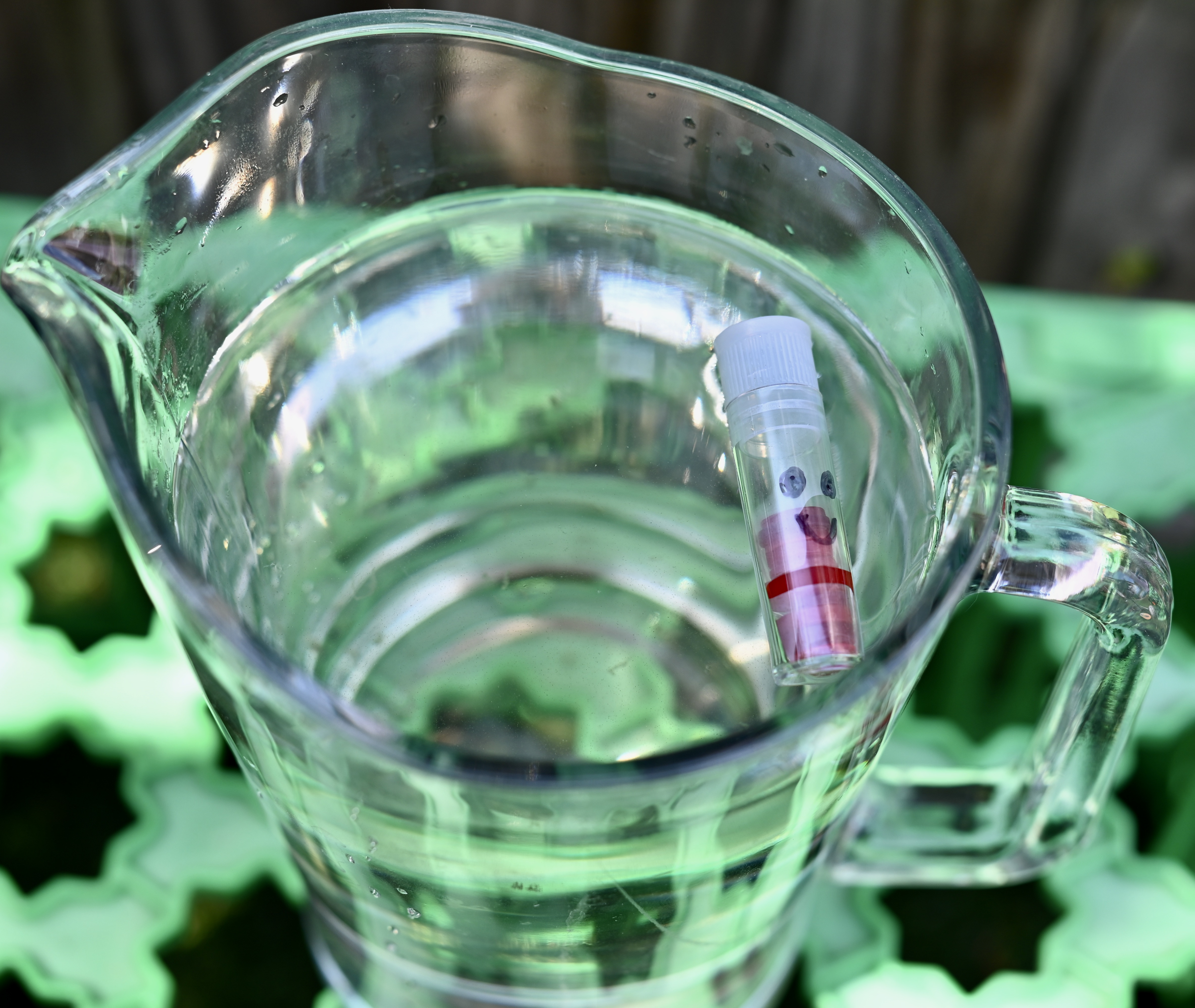 test tube with small red buttons inside floating on the surface of a jug of water.