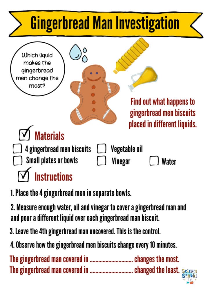 Gingerbread man science activity