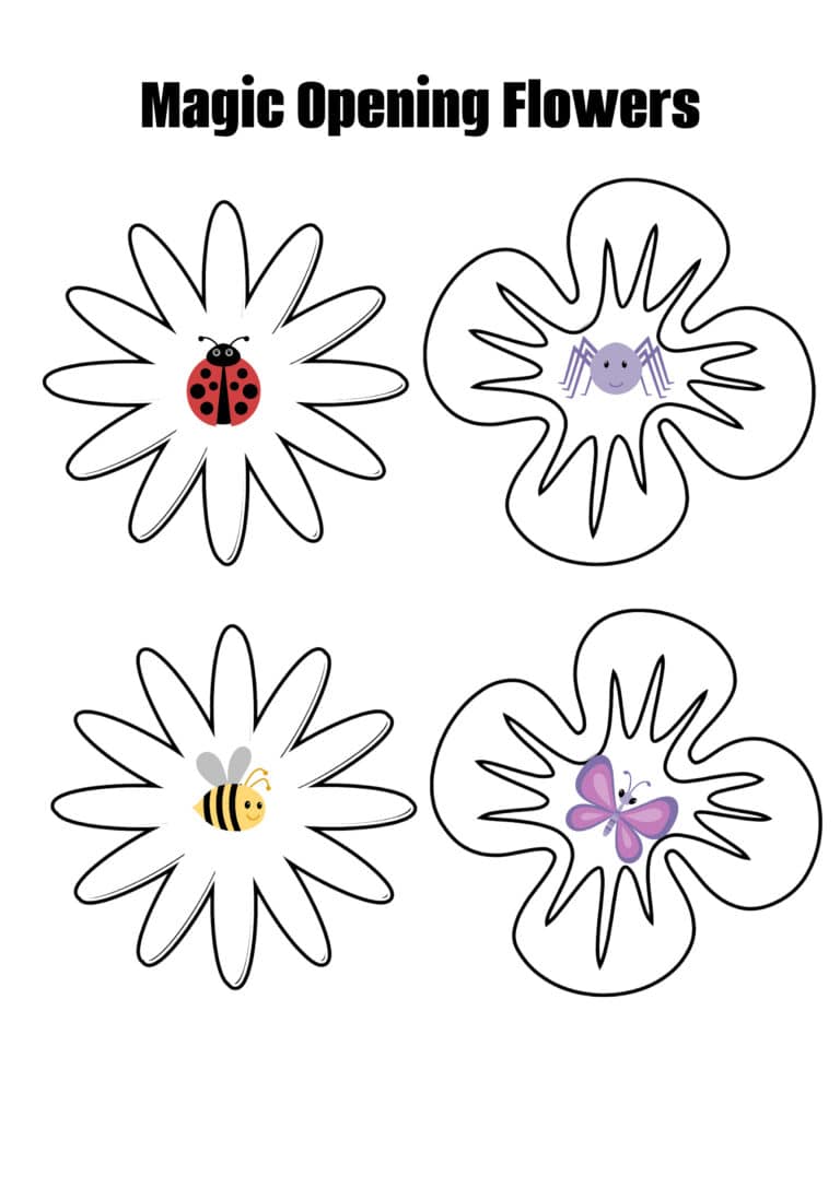 Magic Opening Flowers