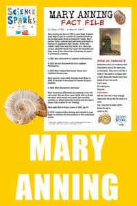 Wonderful Women in STEM –  Mary Anning