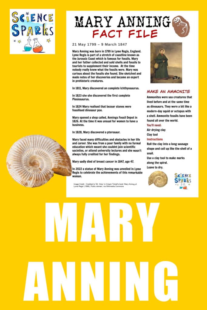 Image of a Mary Anning fact file and ammonite fossil