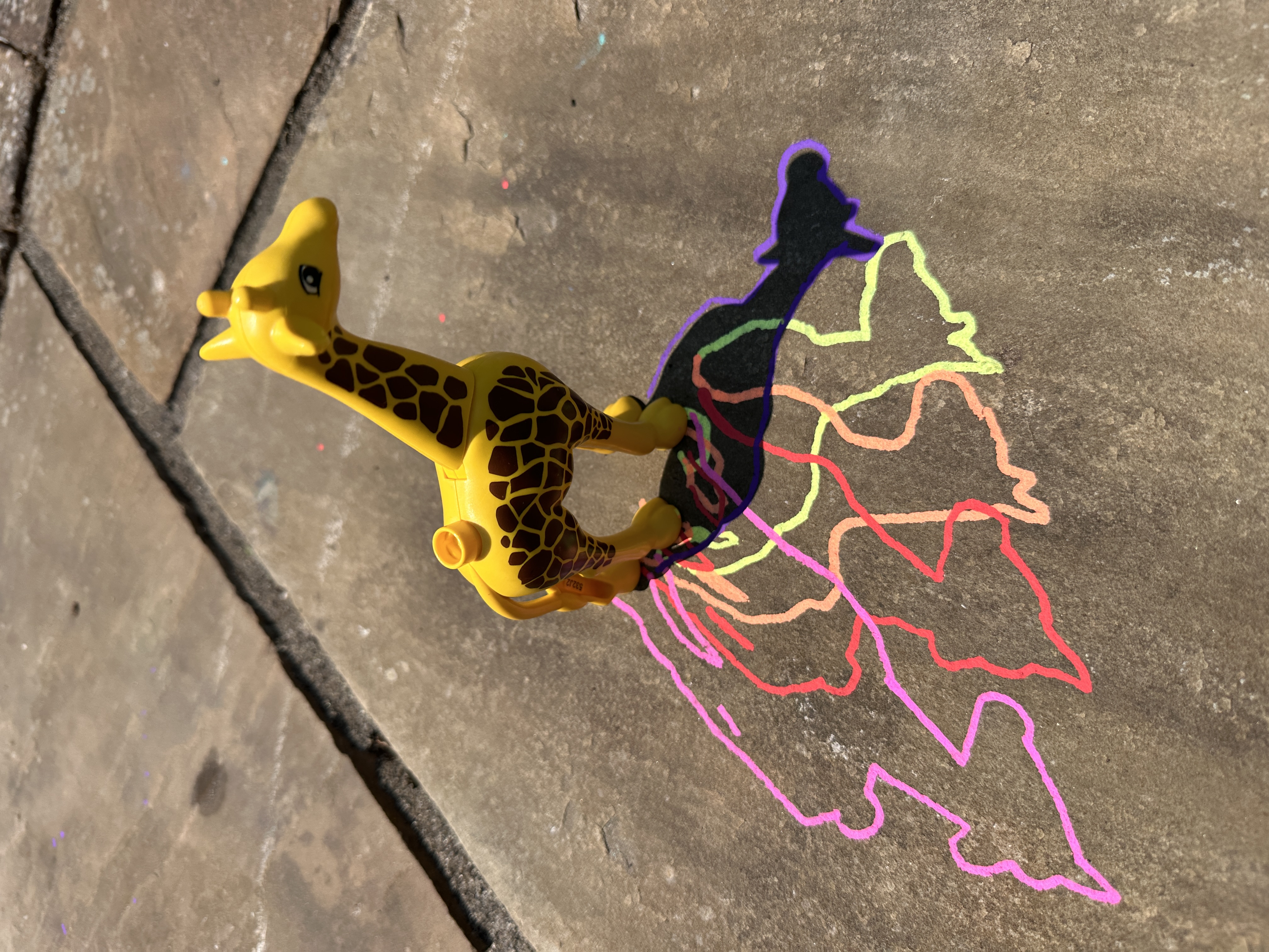 Plastic giraffe stood on a patio stone. Different coloured chalk pens have been used to draw the shadow of the giraffe at different points through the day.