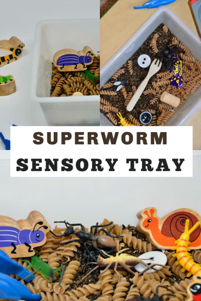 superworm sensory tray made with rice, pasta and bugs