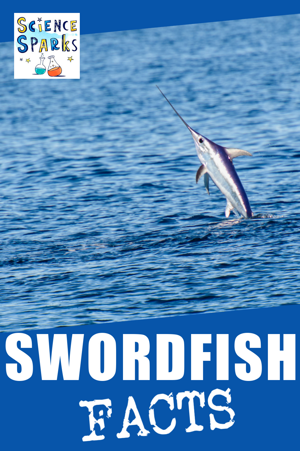swordfish leaping out of the sea