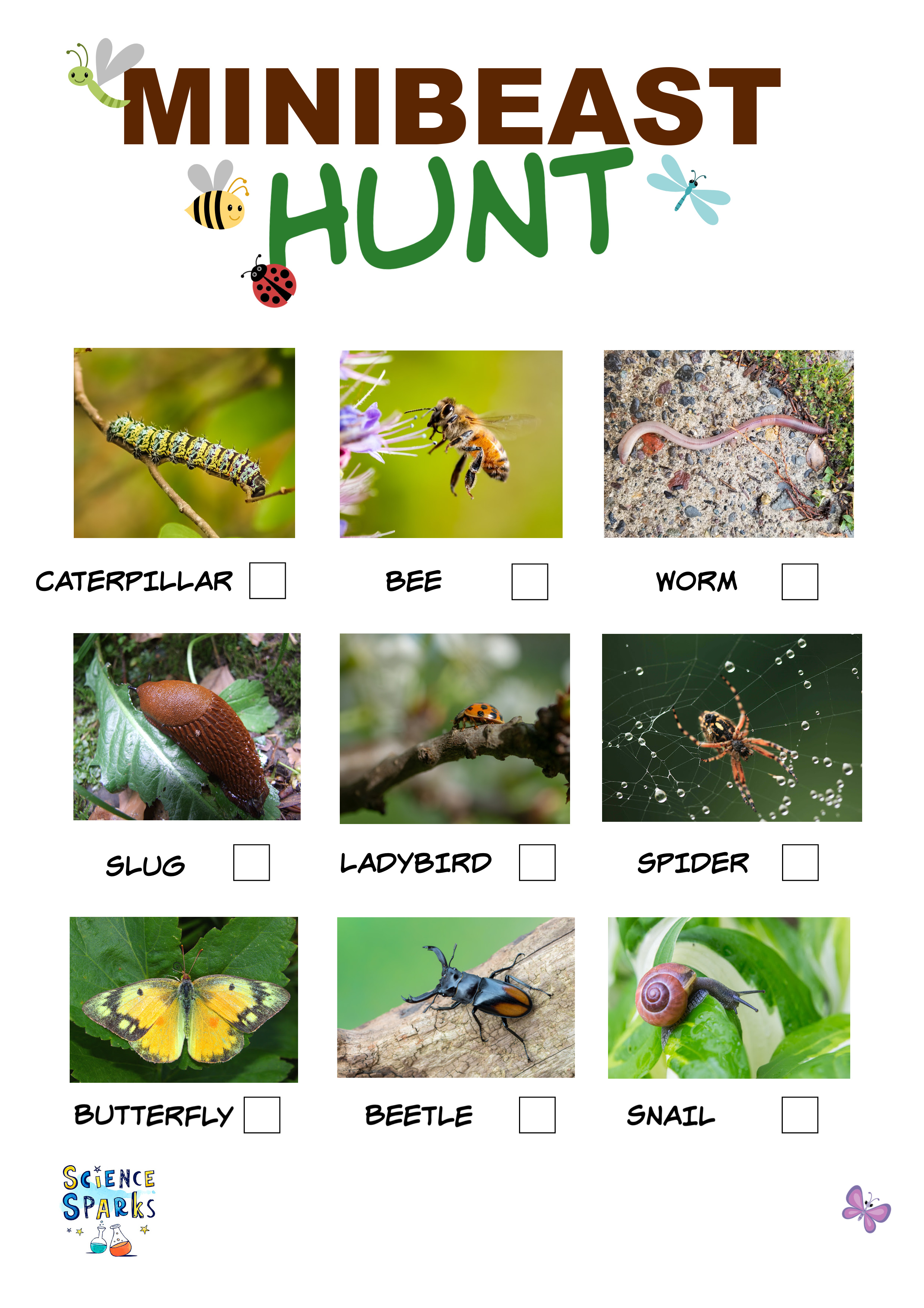 Minibeast hunt checklist