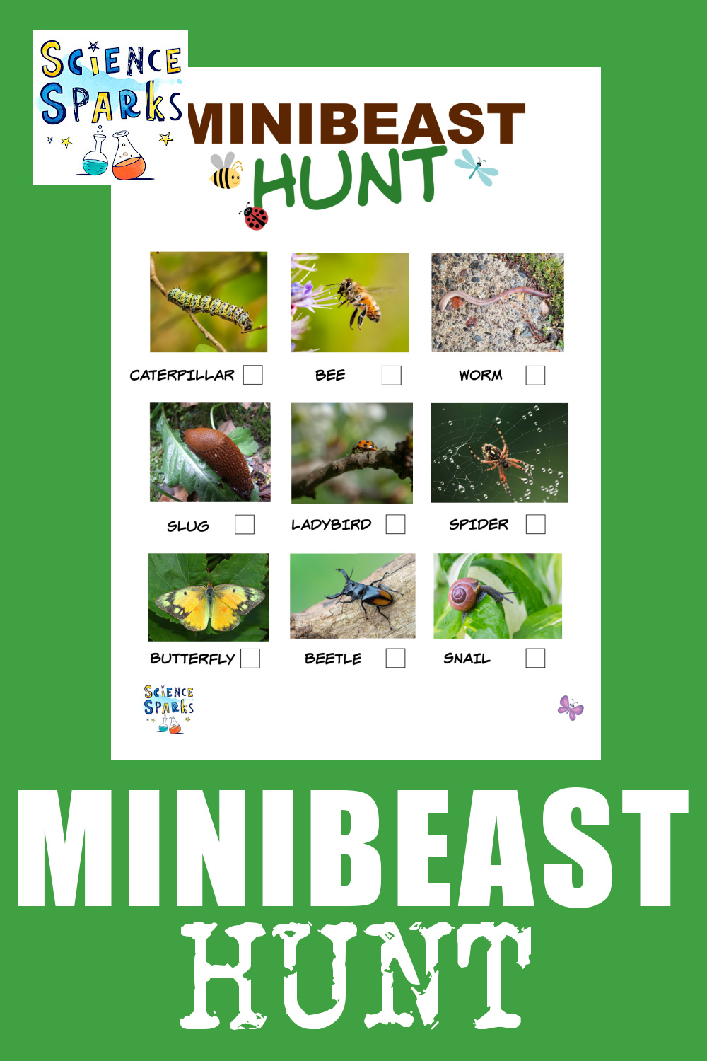 Minibeast hunt tips and tricks