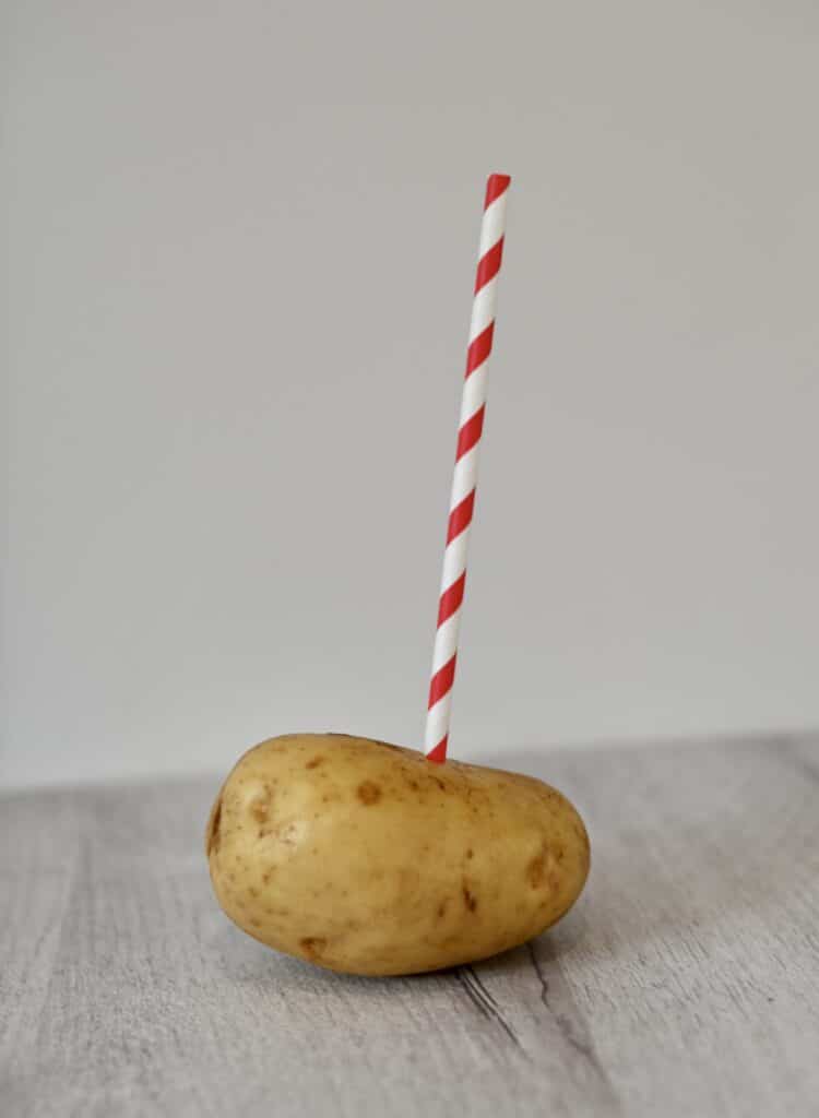 A paper straw which has been pushing into a potato as part of a science challenge