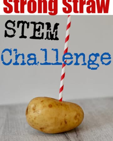 strong straw STEM Challenge