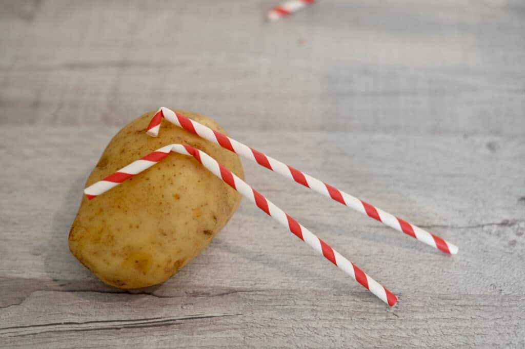 a bent paper straw resting on top of a potato