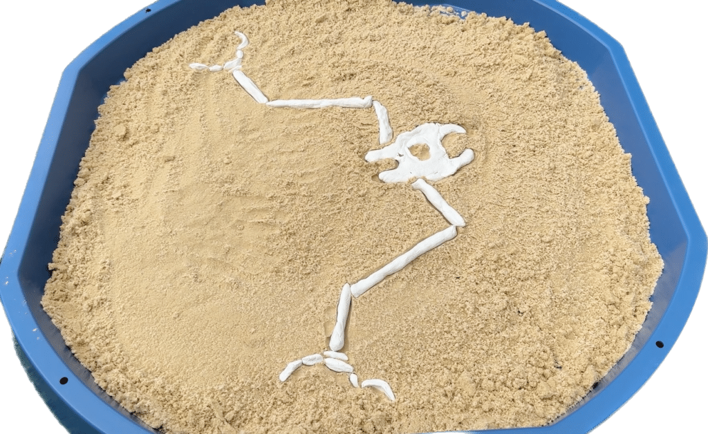 air drying clay dinosaur skeleton on a blue tuff tray filled with sand.