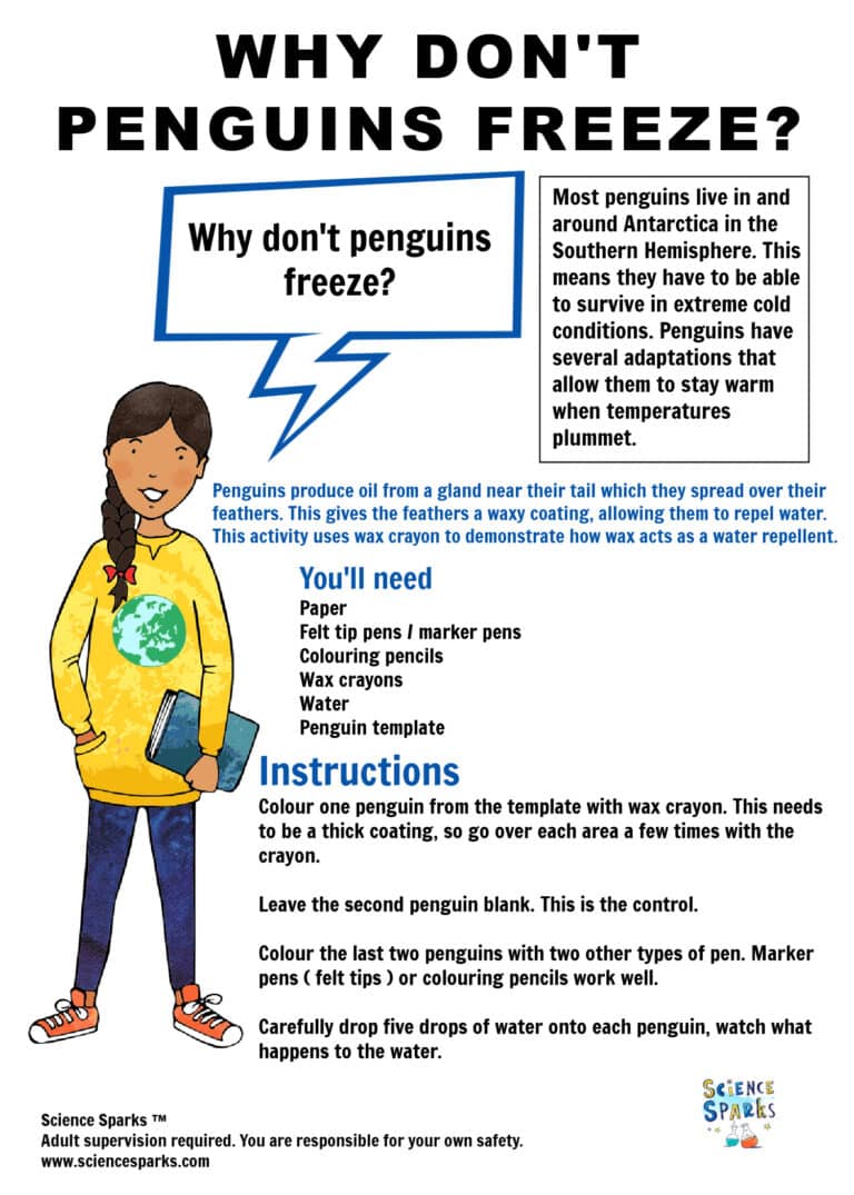 Why don't penguins freeze? Science Experiment