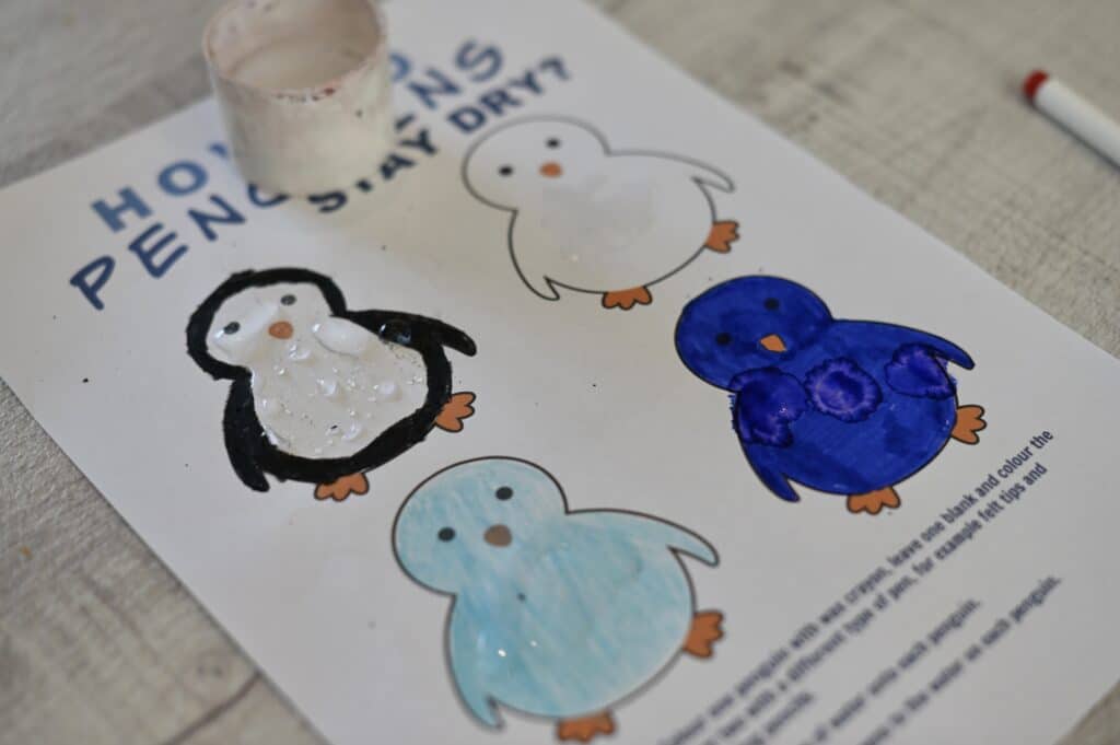 Four penguins on paper coloured with wax crayon and felt tips to show how penguins stay dry. The penguin coloured with wax crayon has visible water on the surface. The water has soaked into the other types of pens.