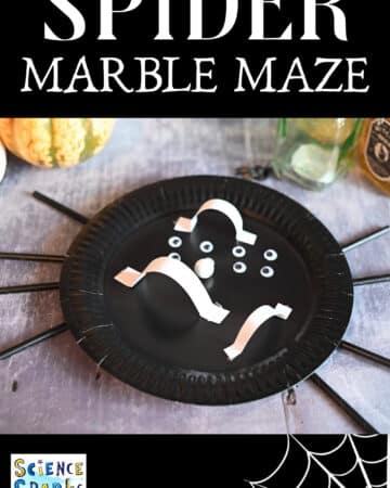 Spider paper plate marble maze