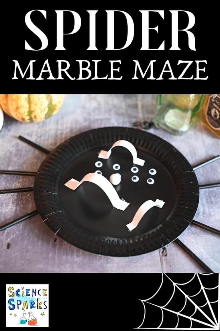 Spider paper plate marble maze