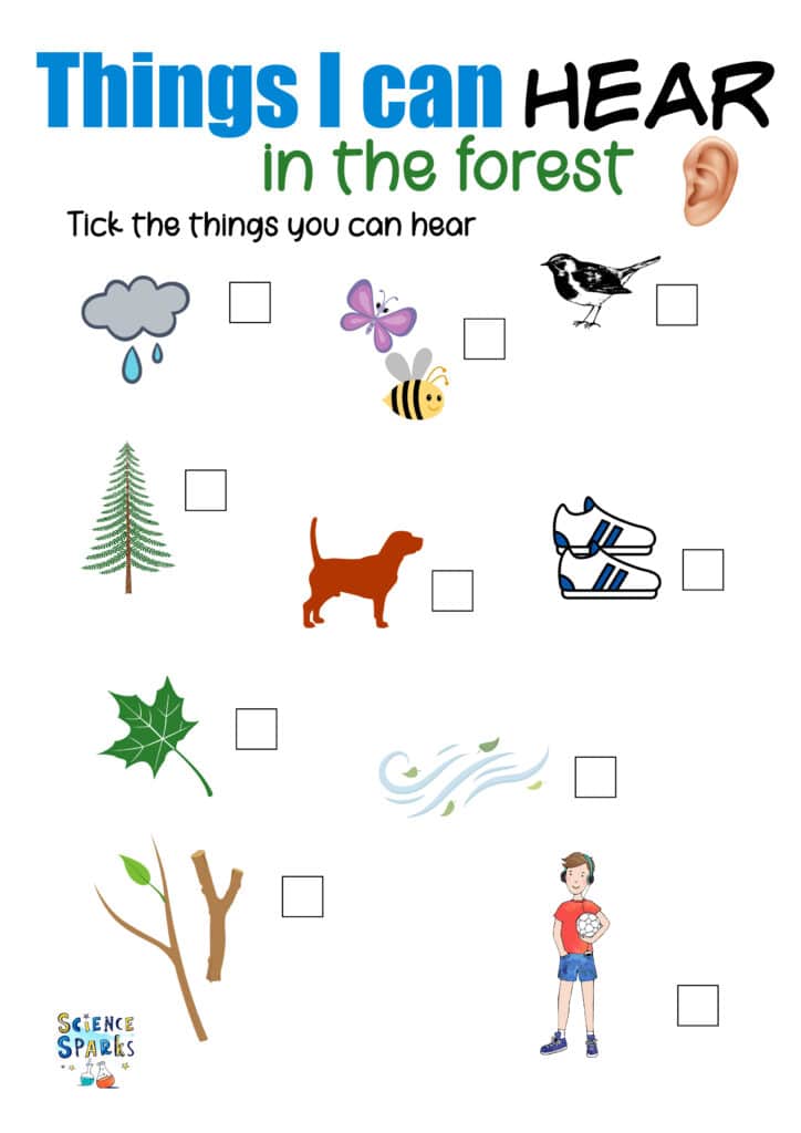 Things I can hear in the forest worksheet