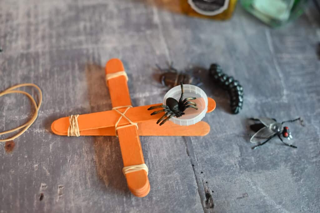 lolly stick catapult with a plastic spider on top for a Halloween STEM challenge