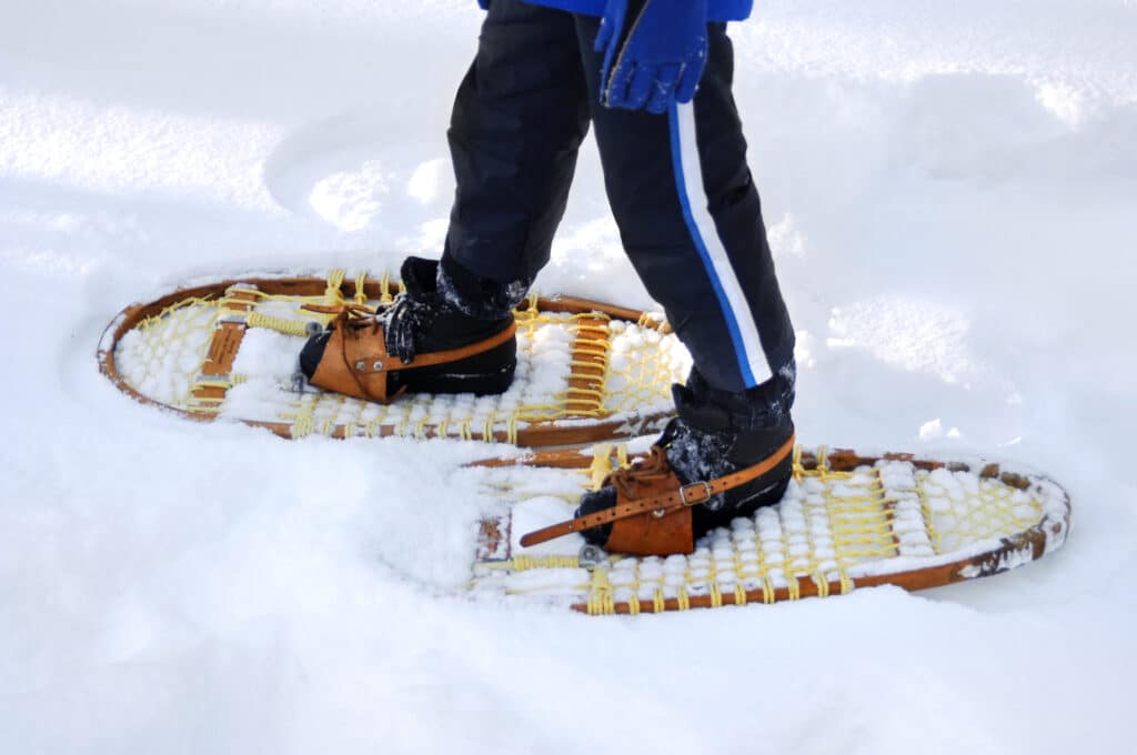 wooden snowshoe