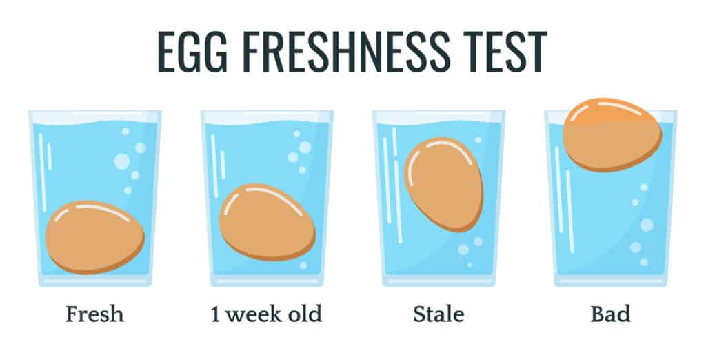 egg freshness test diagram