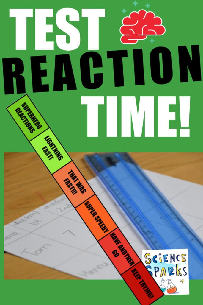 Ruler and paper for a reaction time test