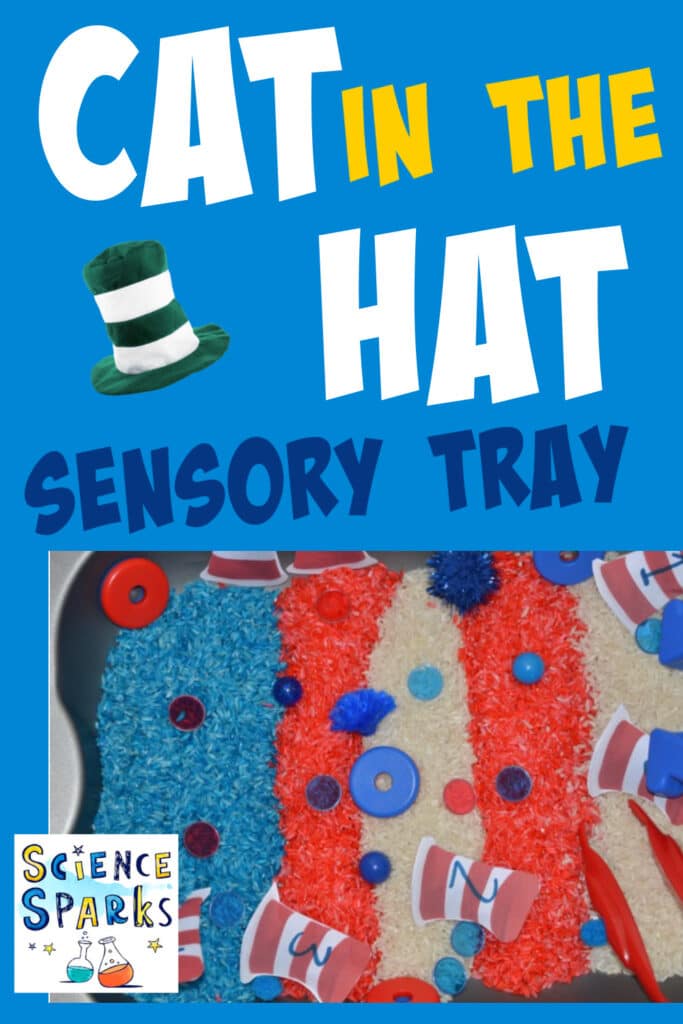 Cat in the Hat rice sensory tray
