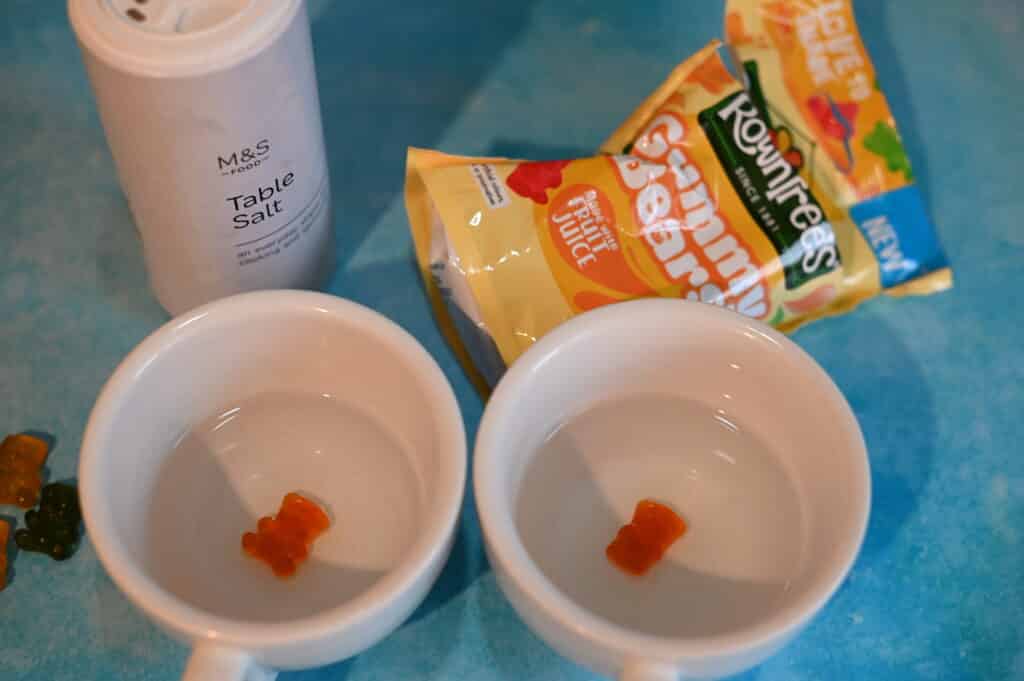 Un osito de goma dulce en un vaso de agua ha crecido y un osito de goma en agua salada se ha encogido