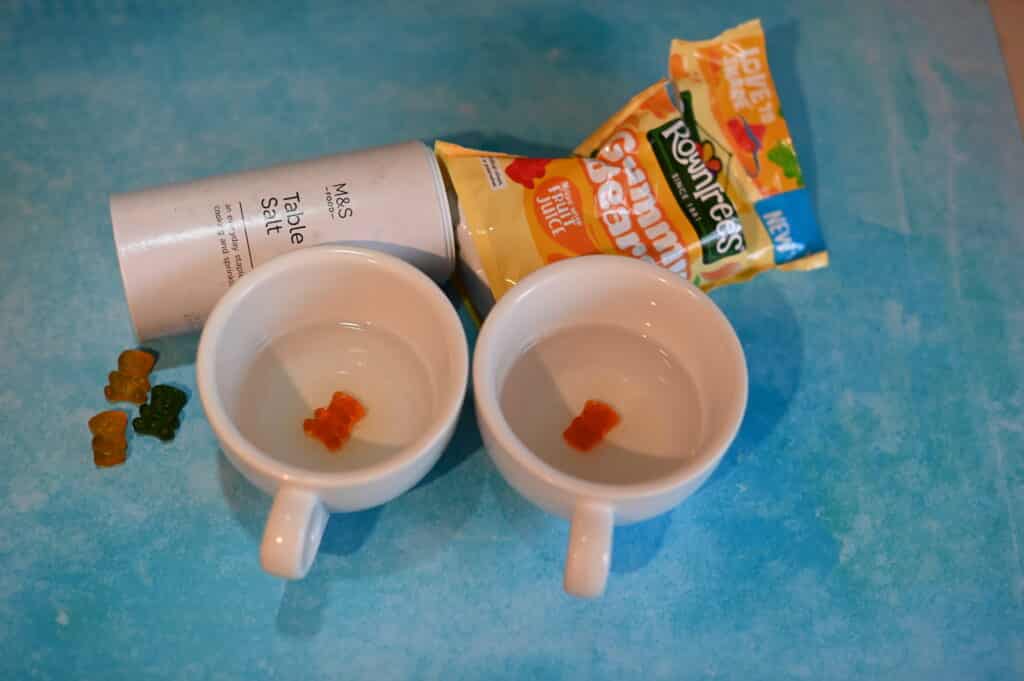 two cups containing water and a gummy bear for a science experiment