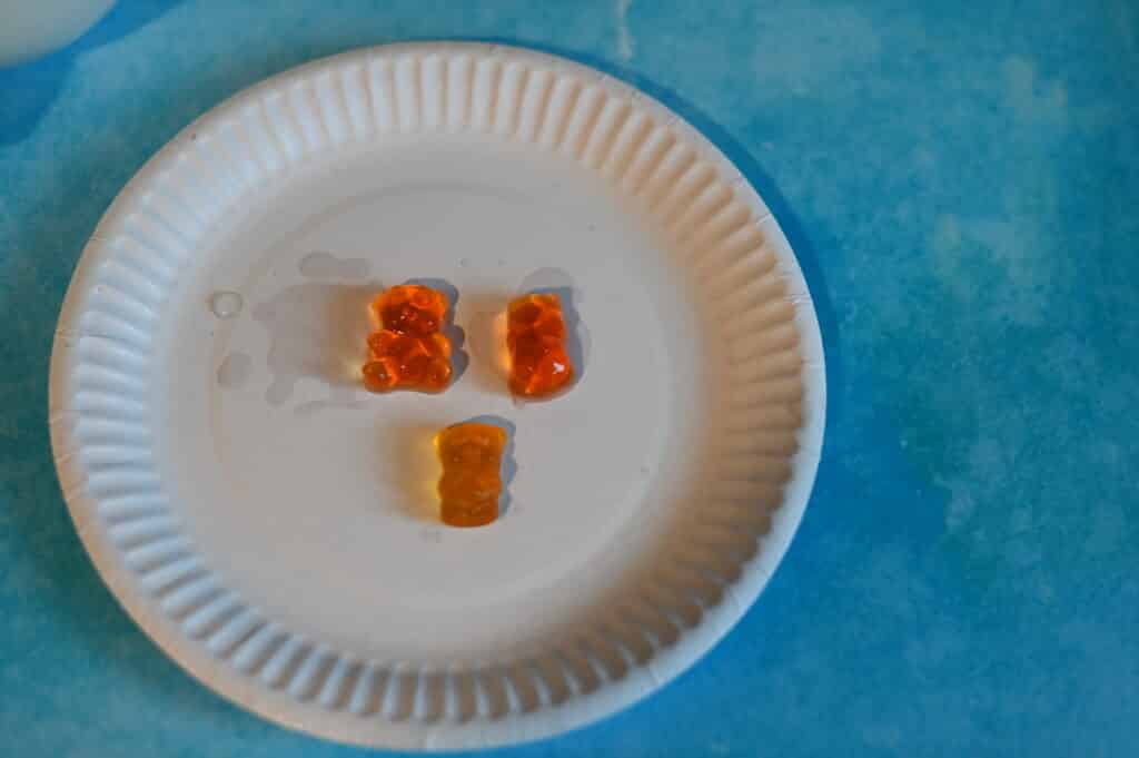 Three gummy bears, one has absorbed water and expanded and one has shrunk after being placed in salty water