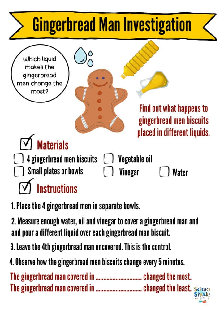 Gingerbread Man science investigation printable experiment instruction sheet