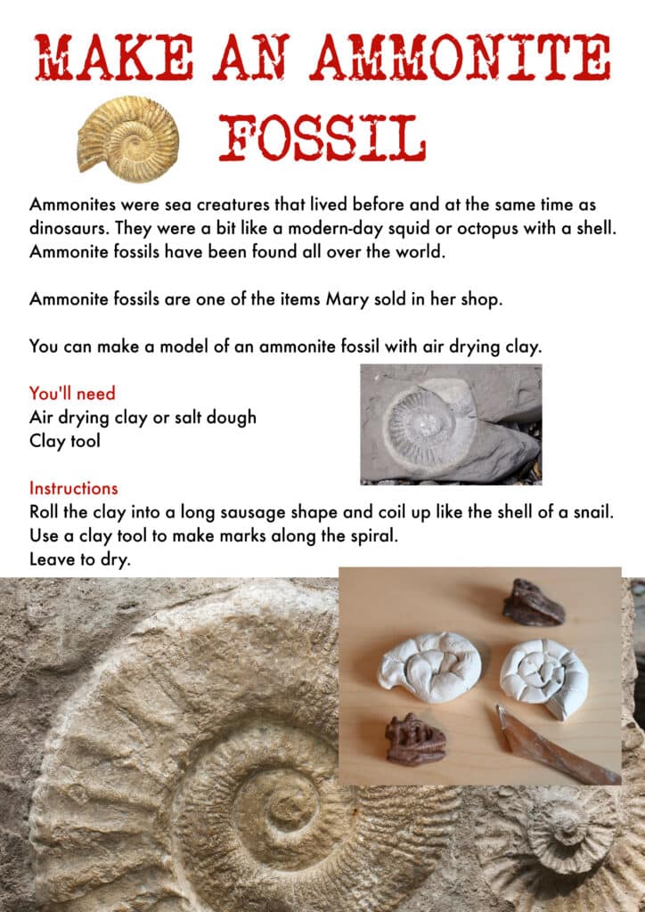 Make an ammonite fossil activity