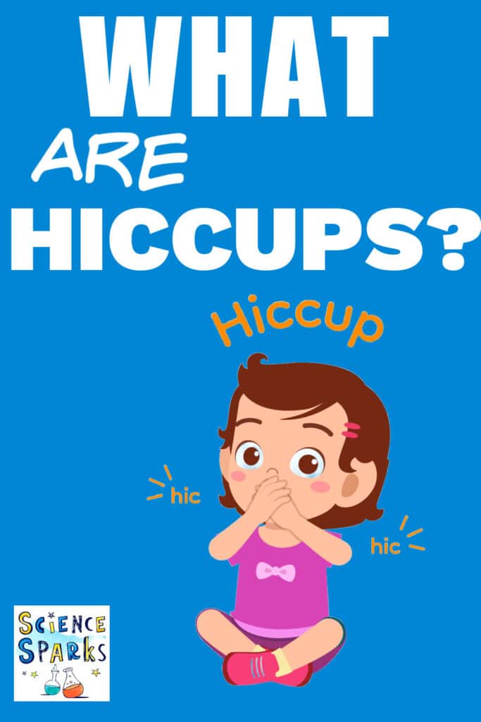 What are hiccups