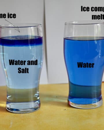 labelled diagram of a salt and freshwater melting activity