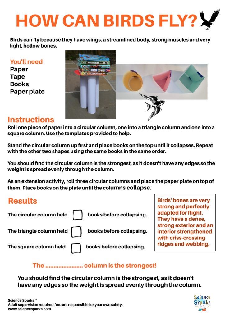 How can birds fly instructions and column templates