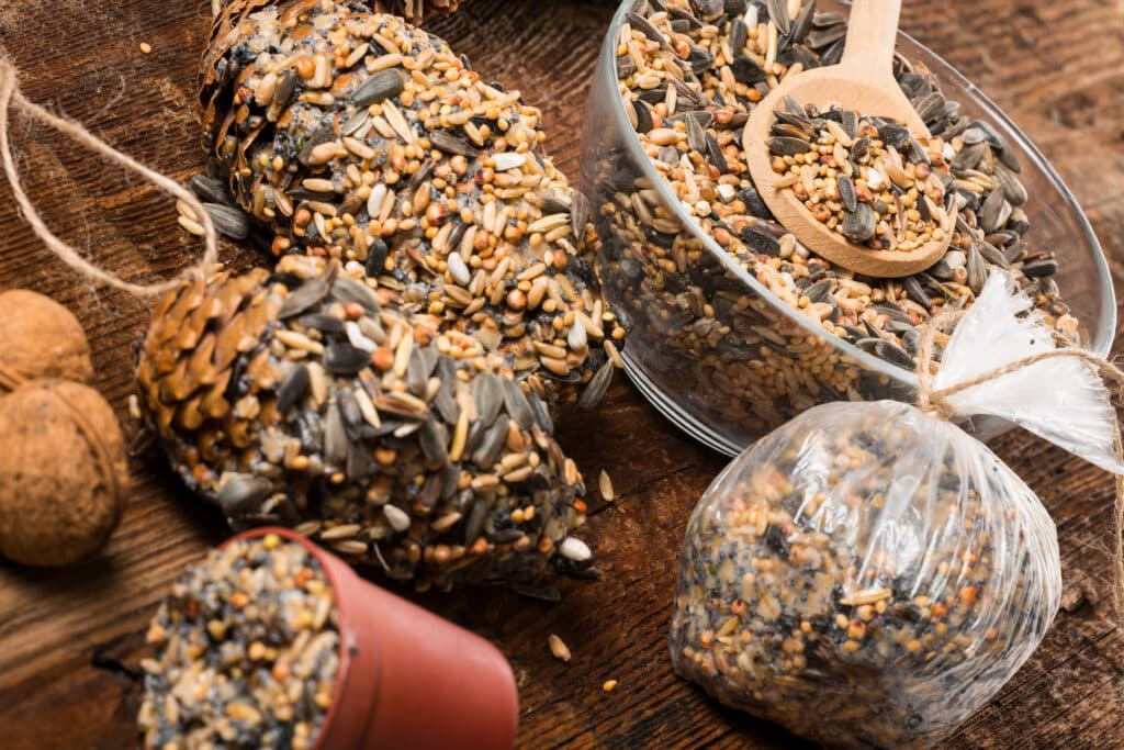 bird feeder made from fat and seeds