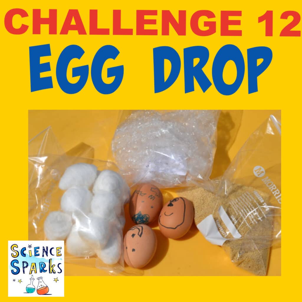 Challenge 12 - egg Drop Experiment