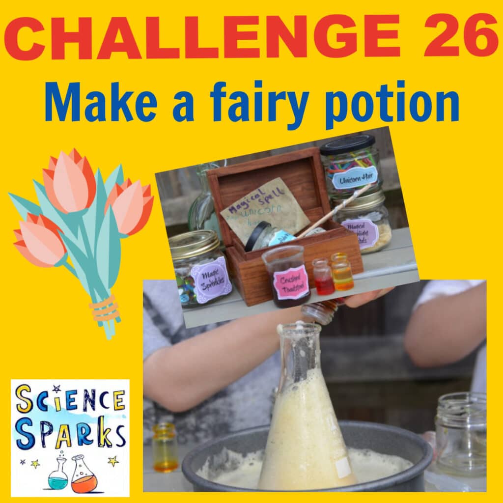 Challenge 26 - fairy potion