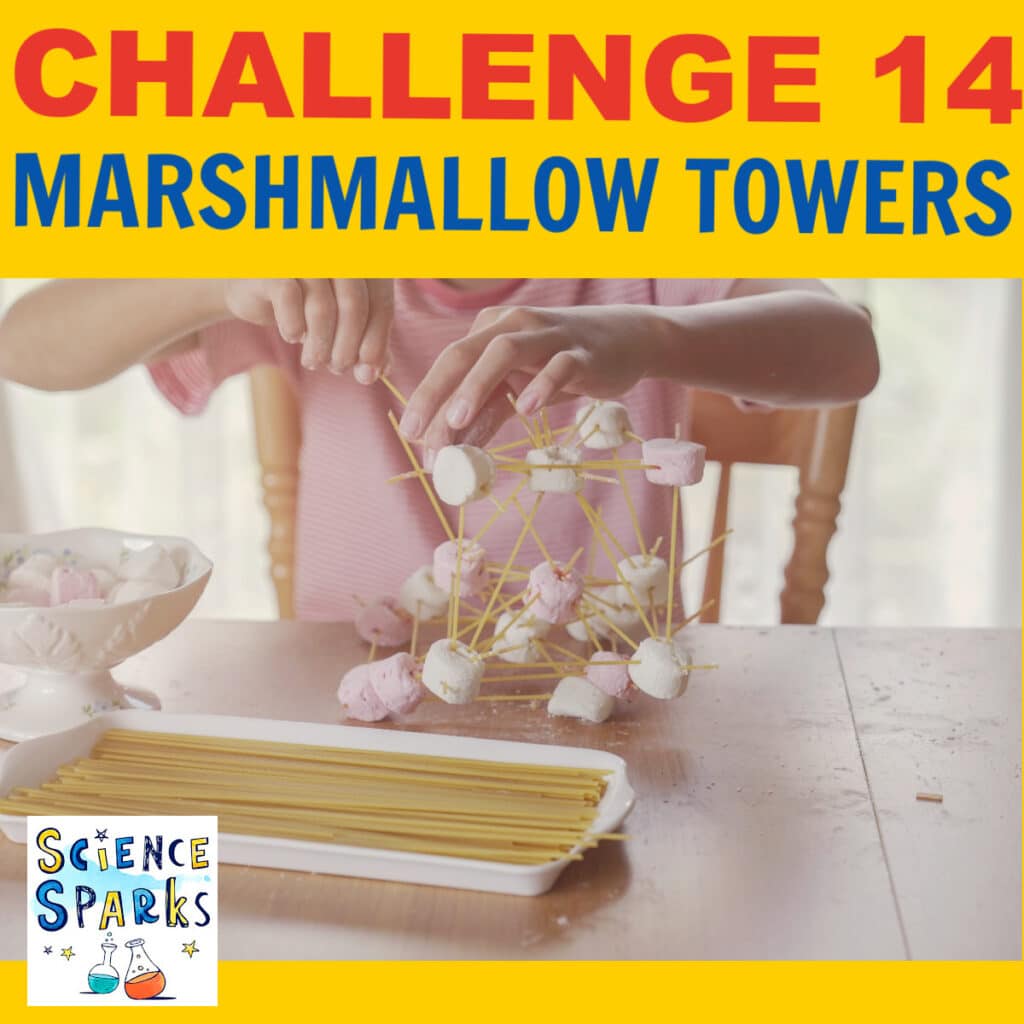 Summer STEM Challenge - marshmallow towers