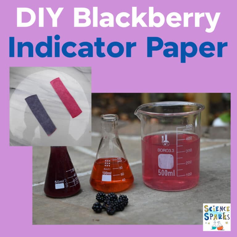 How to make a pH indicator with blackberries