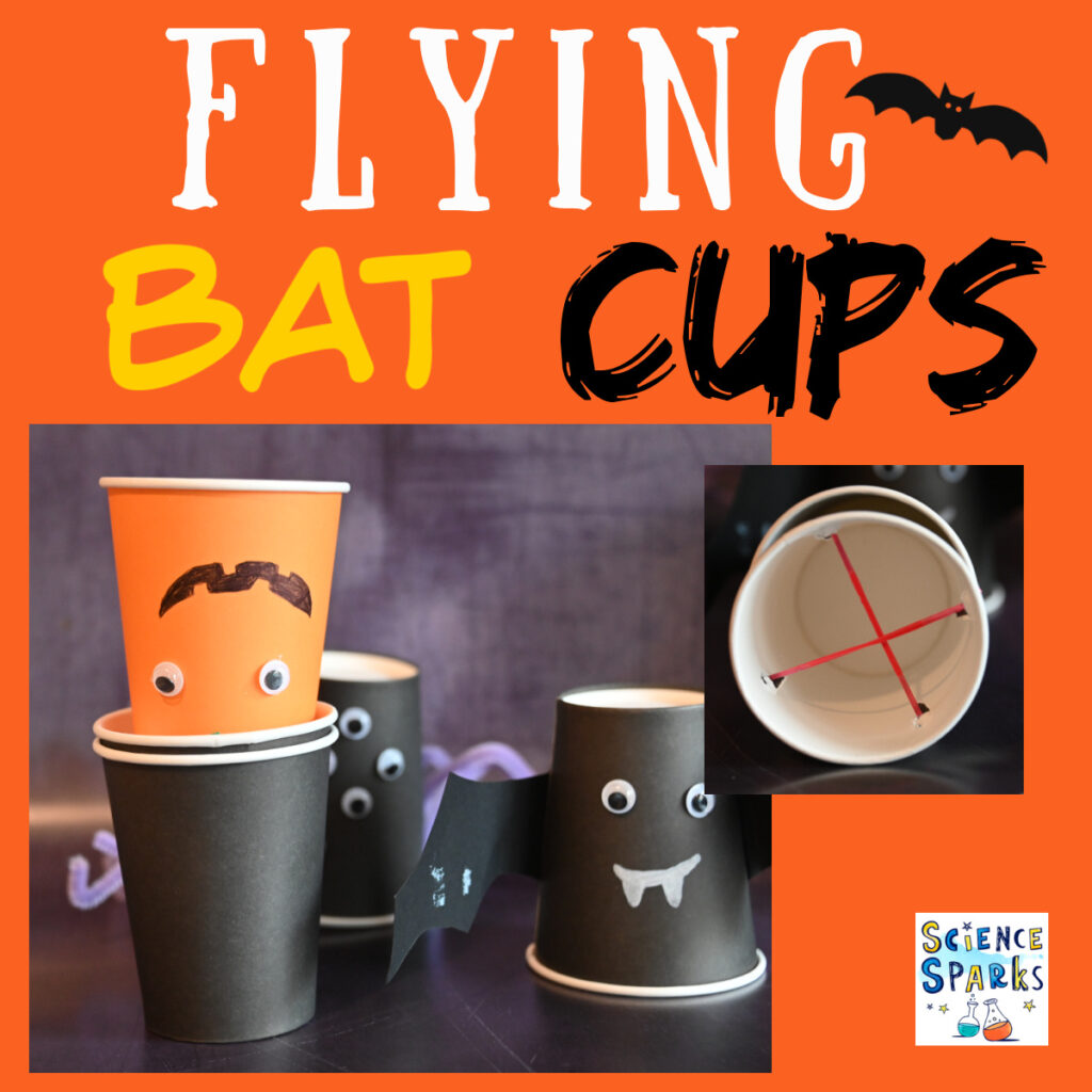 Flying bat cup STEM Challenge